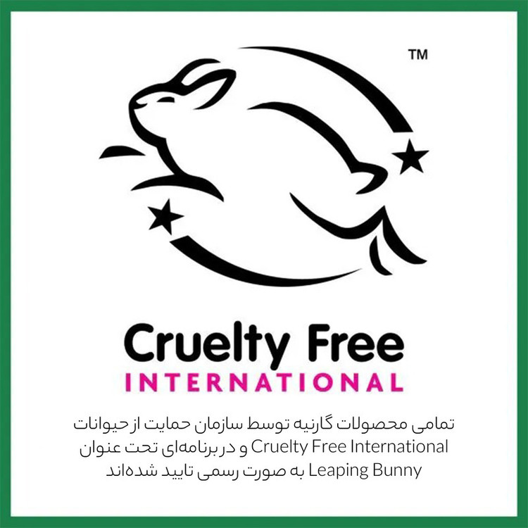 ژل شستشو صورت گارنیه مدل Skin Active حجم 200 میلی لیتر